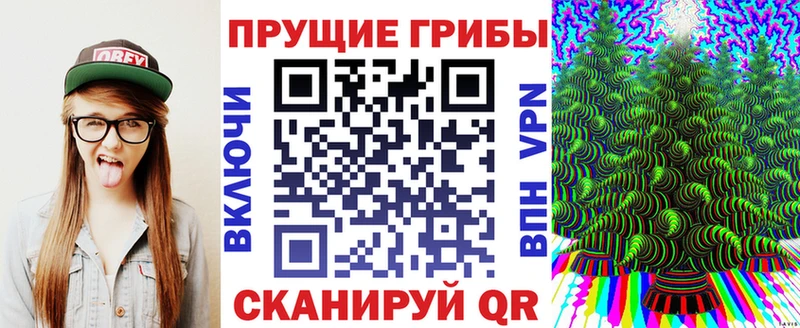 купить наркотики сайты  Славгород  Галлюциногенные грибы Psilocybe 